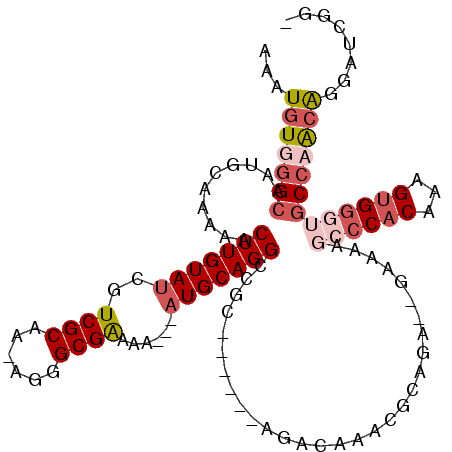 secondary structure