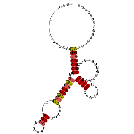 secondary structure
