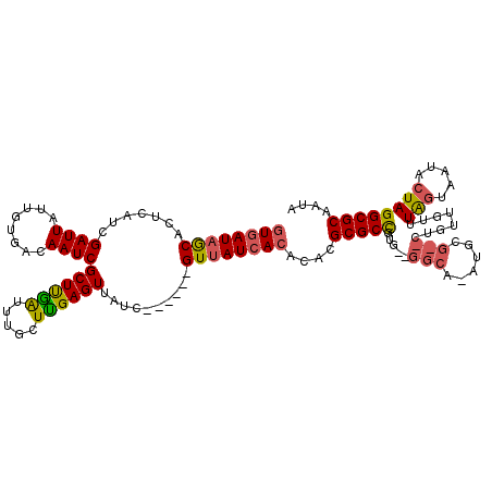 secondary structure