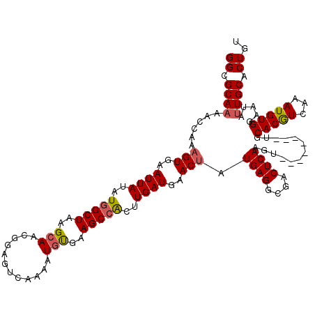 secondary structure
