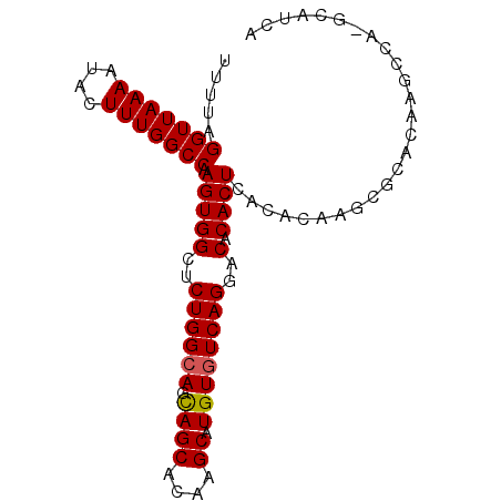 secondary structure