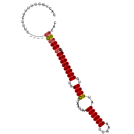secondary structure
