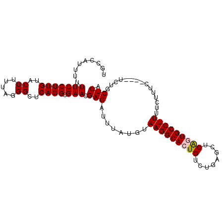 secondary structure