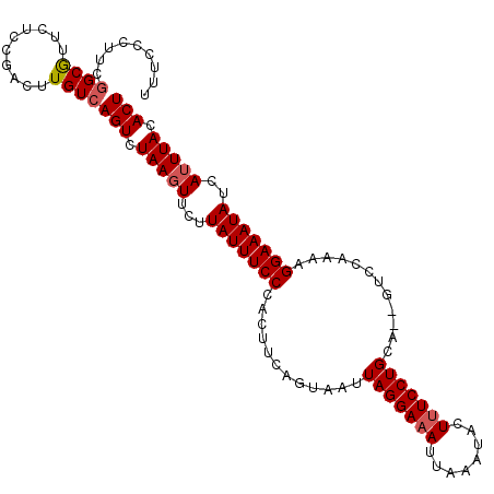 secondary structure