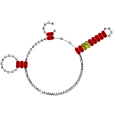 secondary structure
