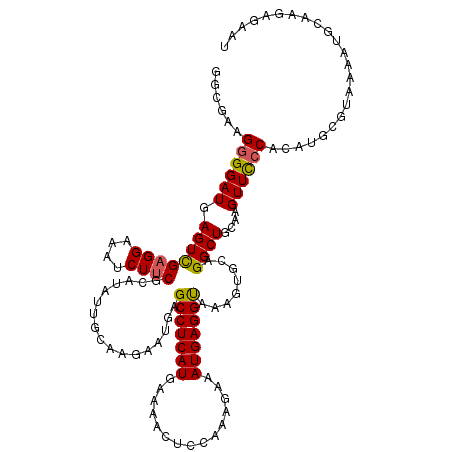 secondary structure