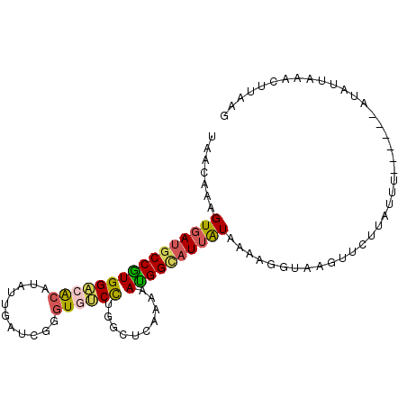 secondary structure