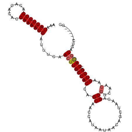 secondary structure