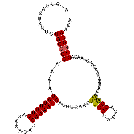 secondary structure