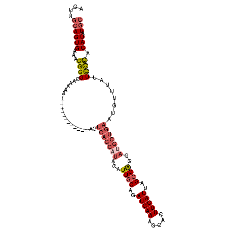 secondary structure