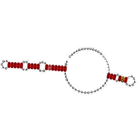 secondary structure