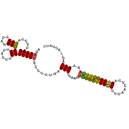 secondary structure