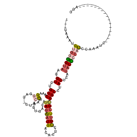 secondary structure