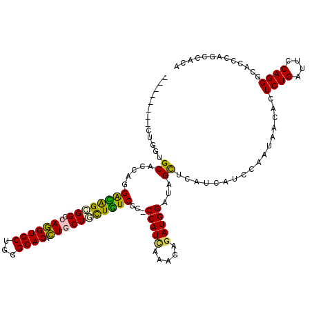 secondary structure