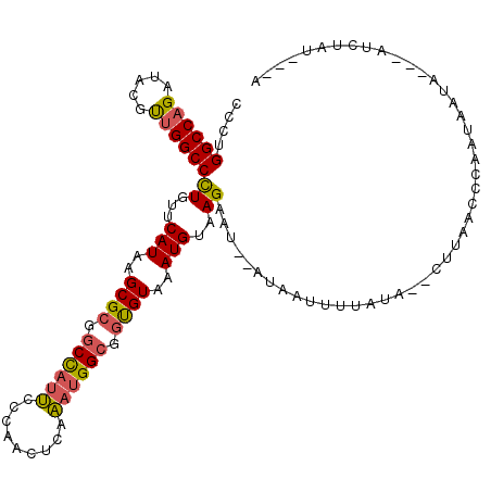 secondary structure