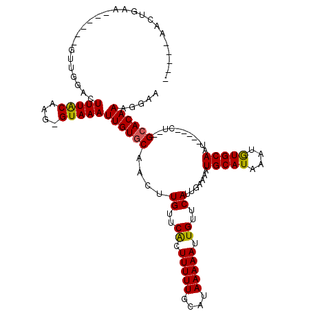 secondary structure