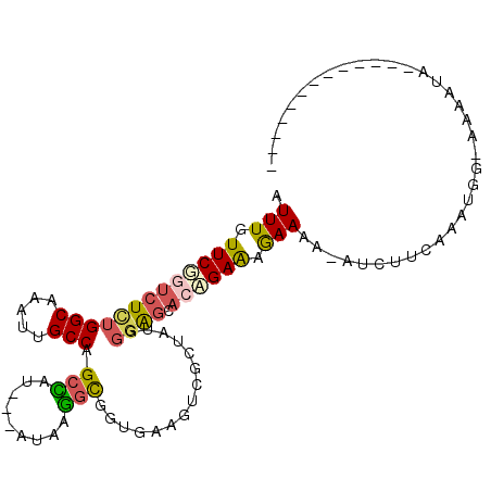 secondary structure