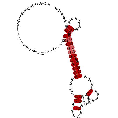 secondary structure