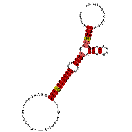 secondary structure