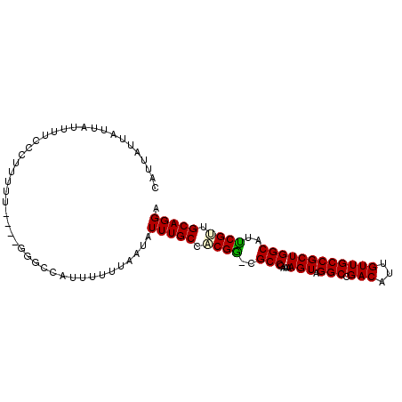 secondary structure