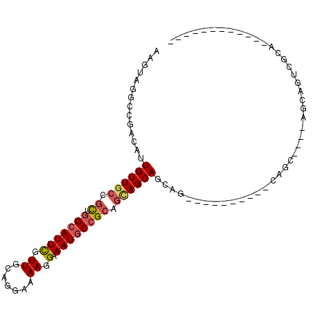 secondary structure
