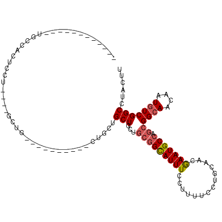 secondary structure