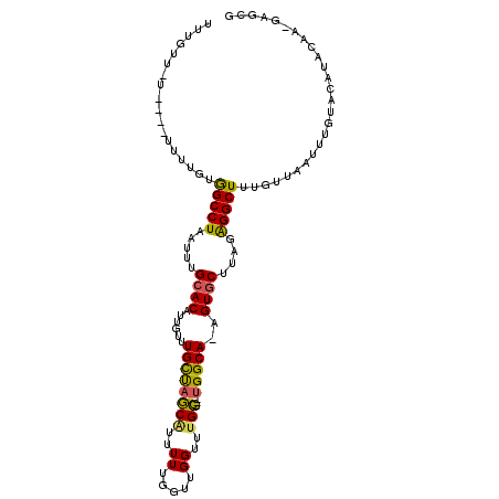 secondary structure