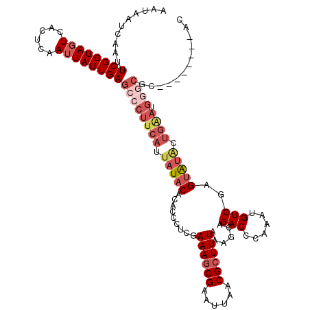 secondary structure