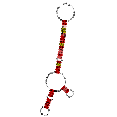secondary structure