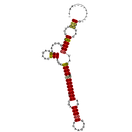 secondary structure