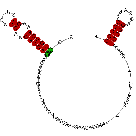 secondary structure
