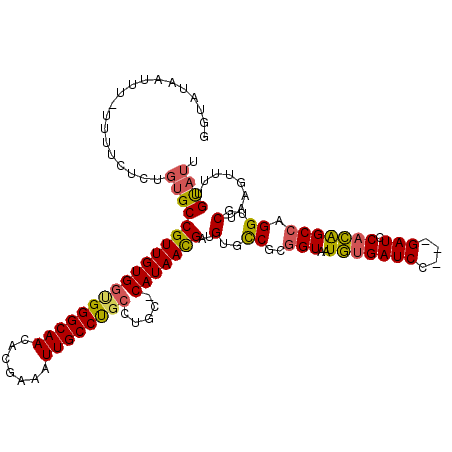 secondary structure