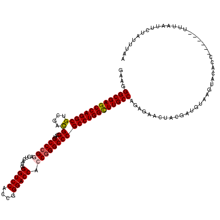 secondary structure