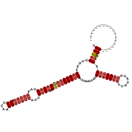 secondary structure