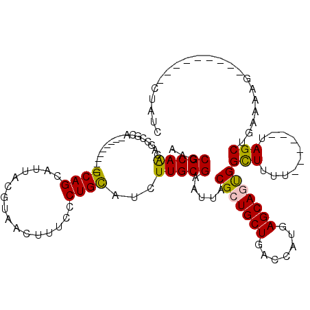 secondary structure