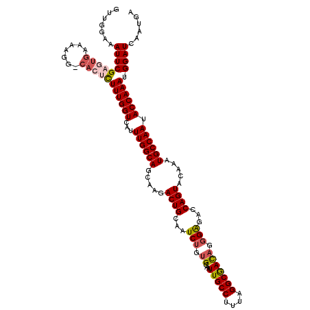 secondary structure