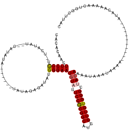 secondary structure