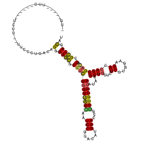 secondary structure