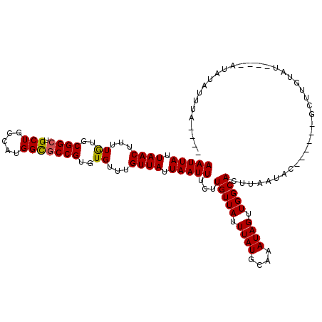 secondary structure