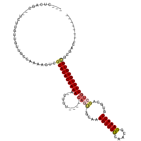 secondary structure