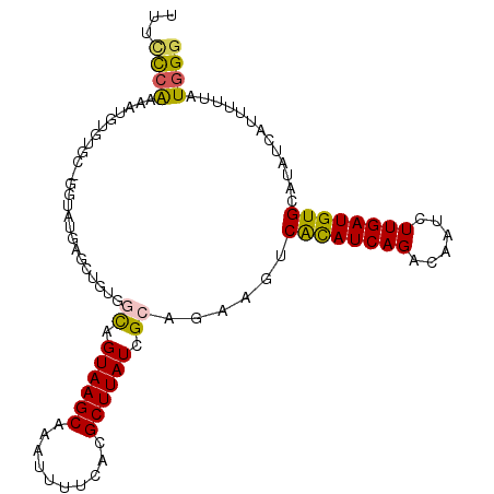 secondary structure