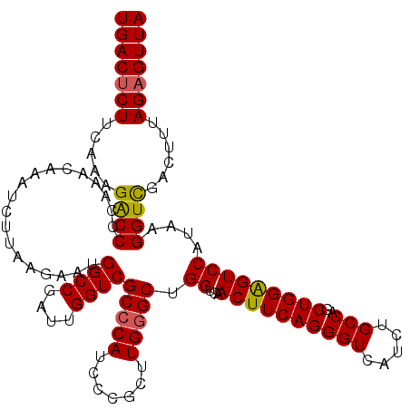 secondary structure