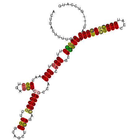 secondary structure