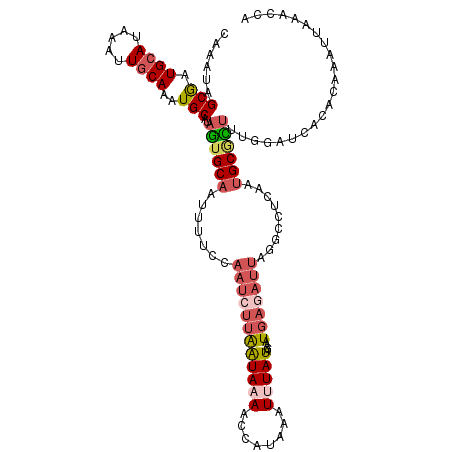 secondary structure