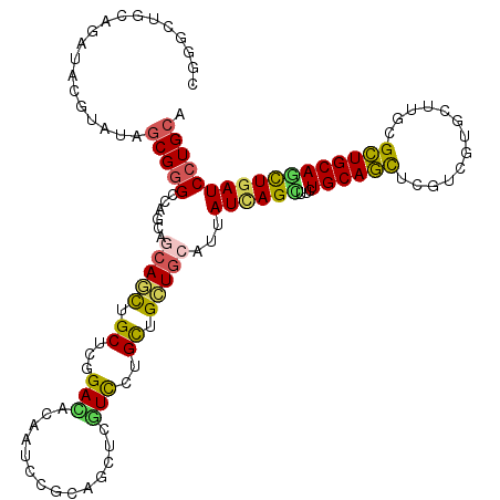 secondary structure