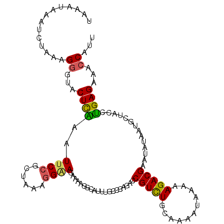 secondary structure