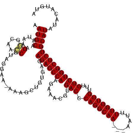secondary structure