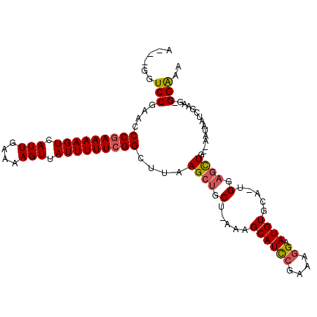 secondary structure
