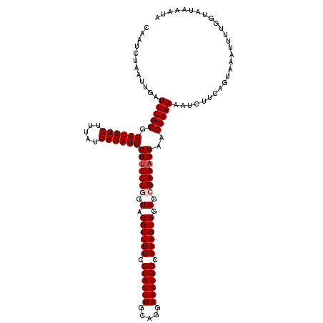 secondary structure