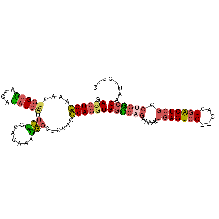 secondary structure